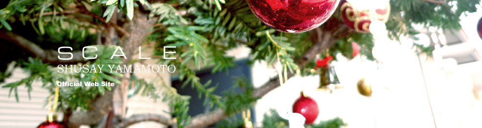 shusay yamamoto 201312