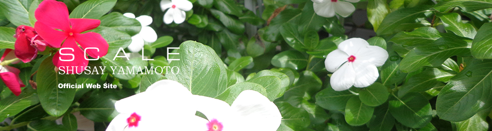 shusay yamamoto 201409