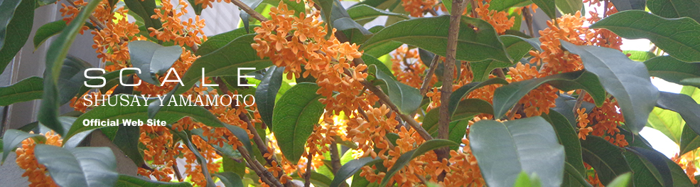 shusay yamamoto 201410