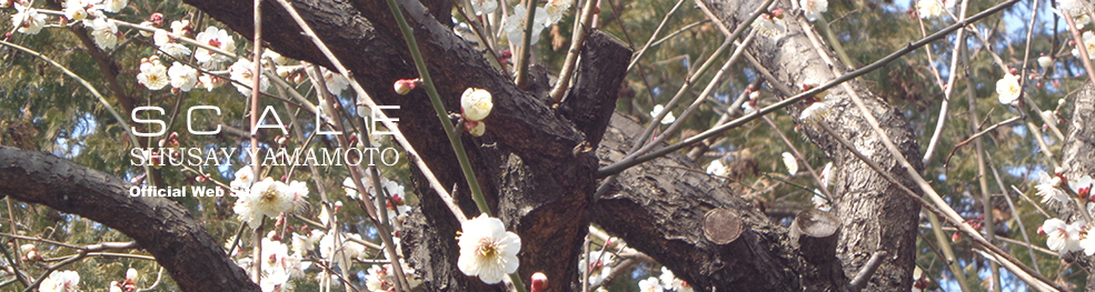 shusay yamamoto 201603