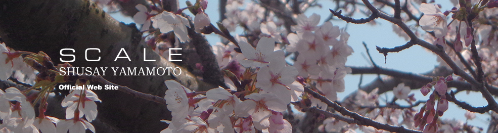 shusay yamamoto 201804