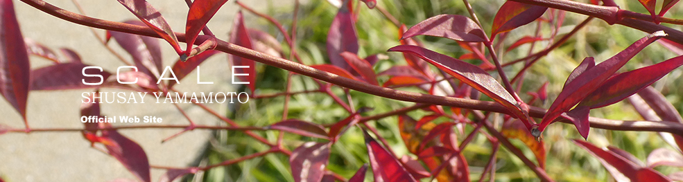 shusay yamamoto 201902