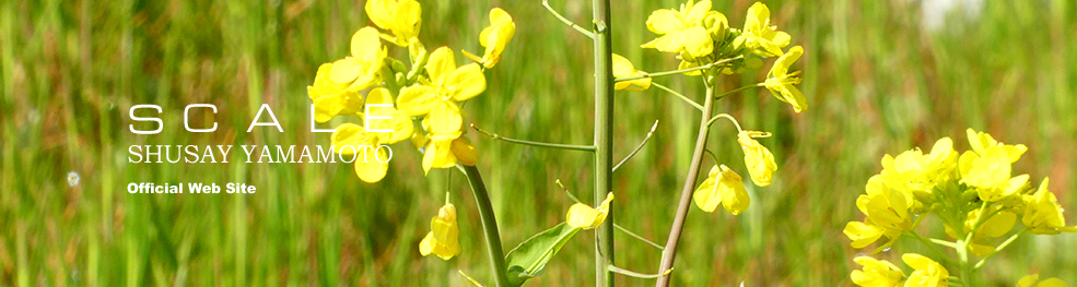 shusay yamamoto 201903