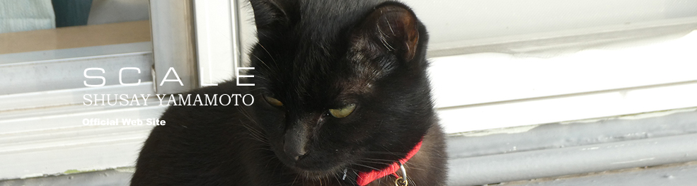 shusay yamamoto 201912