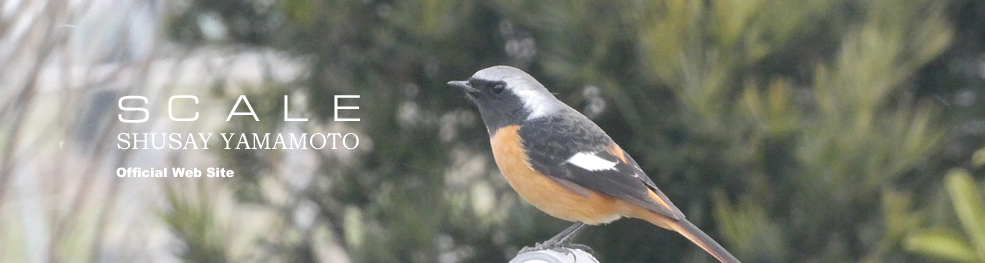 shusay yamamoto 202102