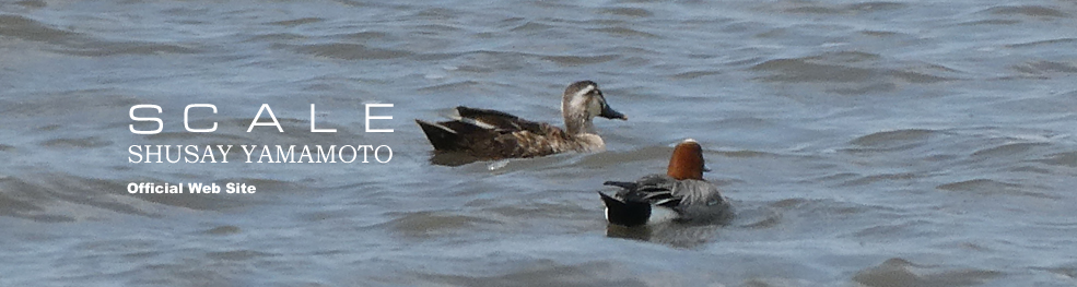 shusay yamamoto 202104