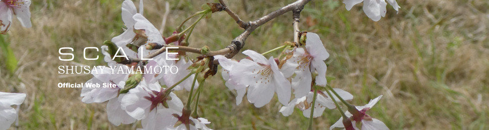 shusay yamamoto 202204