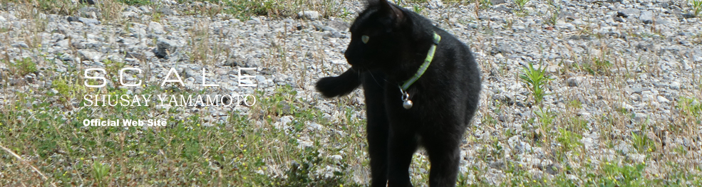 shusay yamamoto 202306