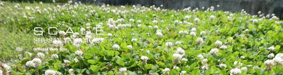 shusay yamamoto 202405